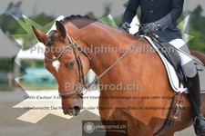 ref. photo 3701132