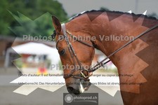 ref. photo 3701133