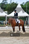 ref. photo 3701152