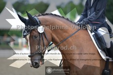 ref. photo 3701160