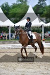 ref. photo 3701169