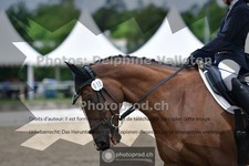 ref. photo 3701183