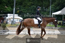 ref. photo 3701188