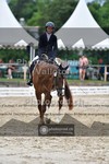 ref. photo 3701206