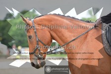 ref. photo 3701218