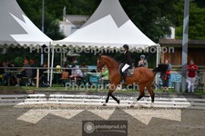 ref. photo 3701220