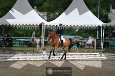 ref. photo 3701264