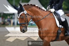 ref. photo 3701311