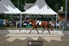 ref. photo 3701322