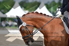 ref. photo 3701331