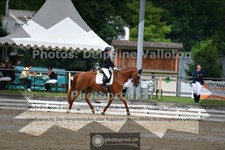 ref. photo 3701345