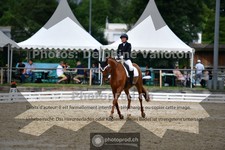 ref. photo 3701349