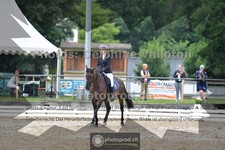 ref. photo 3701363