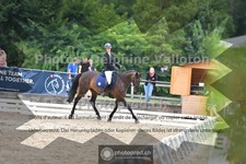 ref. photo 3701371
