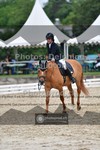 ref. photo 3701430