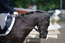 ref. photo 3701460
