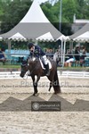 ref. photo 3701472