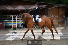 ref. photo 3701516