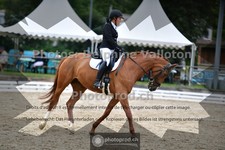 ref. photo 3701532