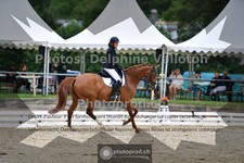 ref. photo 3701534