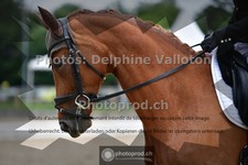 ref. photo 3701539
