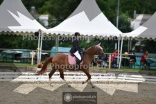 ref. photo 3701579