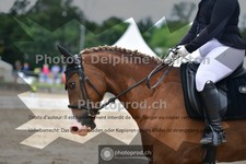 ref. photo 3701610