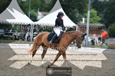 ref. photo 3701620