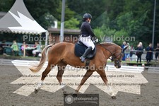 ref. photo 3701621