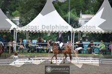 ref. photo 3701622