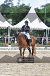 ref. photo 3701645