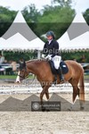 ref. photo 3701650
