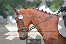 ref. photo 3701652