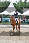 ref. photo 3701659