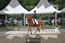 ref. photo 3701670
