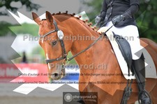 ref. photo 3701693