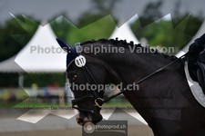 ref. photo 3701759