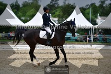ref. photo 3701761