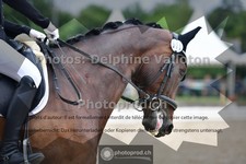 ref. photo 3701794