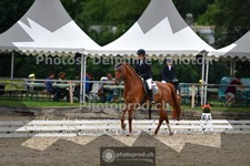 ref. photo 3701848
