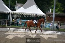 ref. photo 3701853