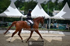 ref. photo 3701861