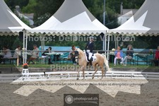 ref. photo 3701895