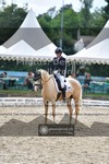 ref. photo 3701917