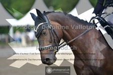 ref. photo 3701938