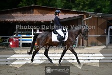 ref. photo 3701939