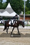 ref. photo 3701957