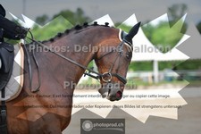 ref. photo 3701971
