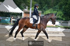 ref. photo 3701974