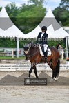 ref. photo 3701999